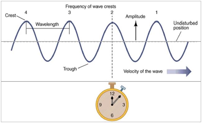 Frequency of Waves